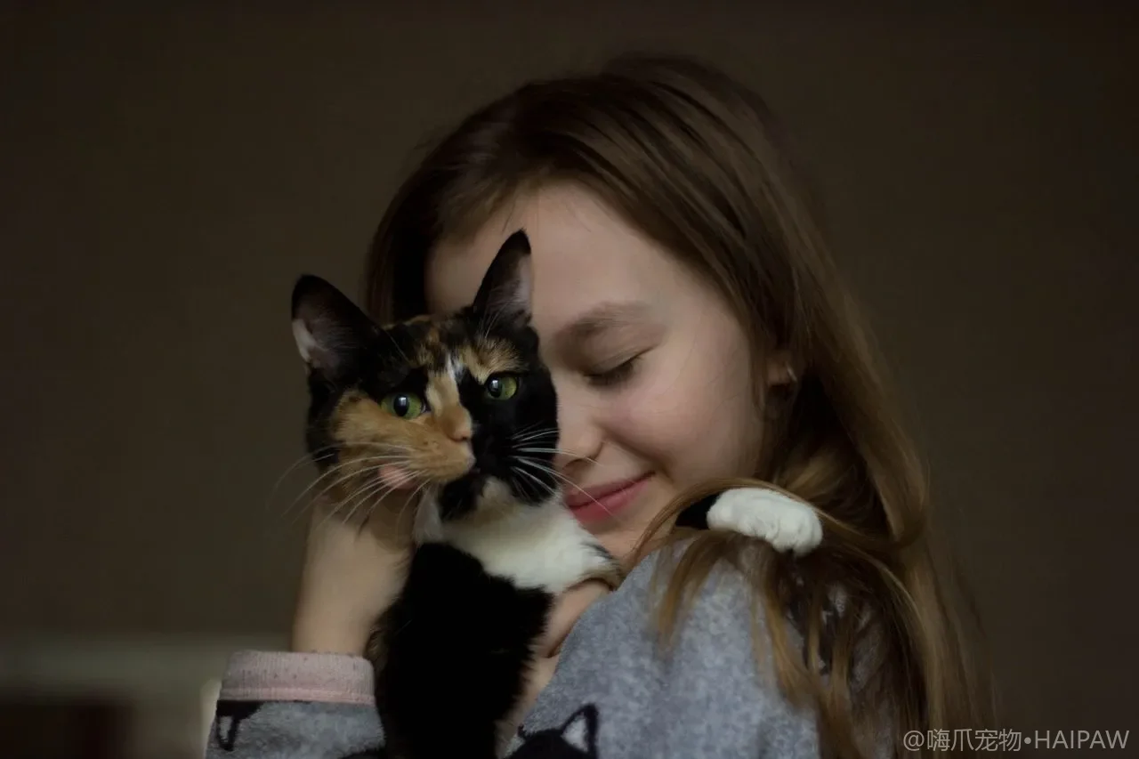猫咪零食挑选与喂食边界：奖励不纵容的健康零食法则