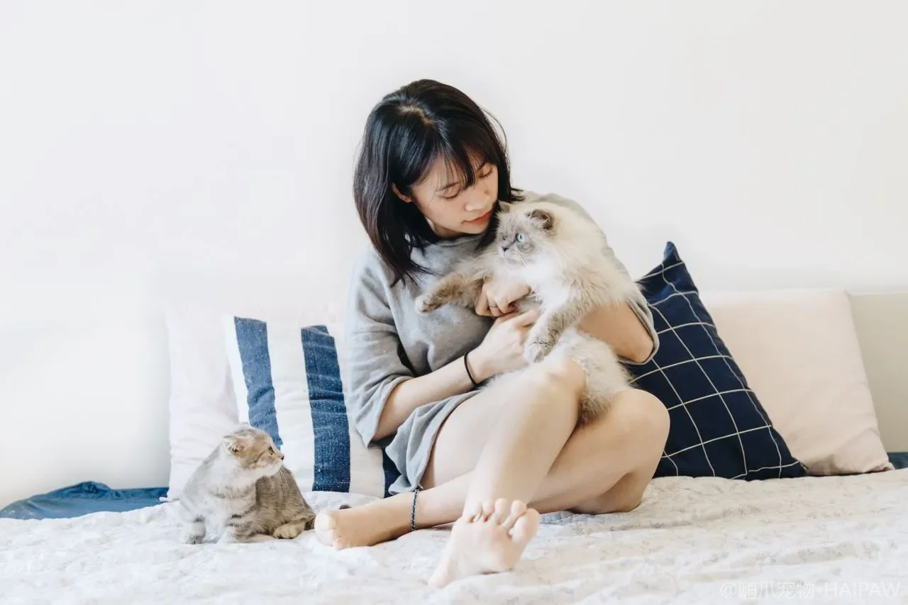 猫碗和水碗每天该怎么洗？食具清洁频率与油脂生物膜清理方法