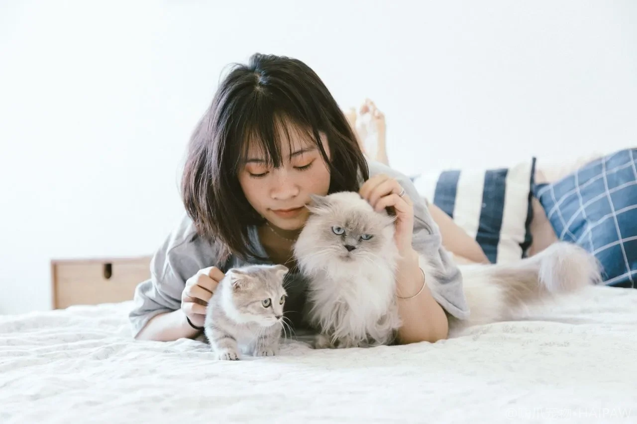 猫的鼻纹肉垫和牙龈也要定期看？日常体表检查里最容易被忽略的五个部位