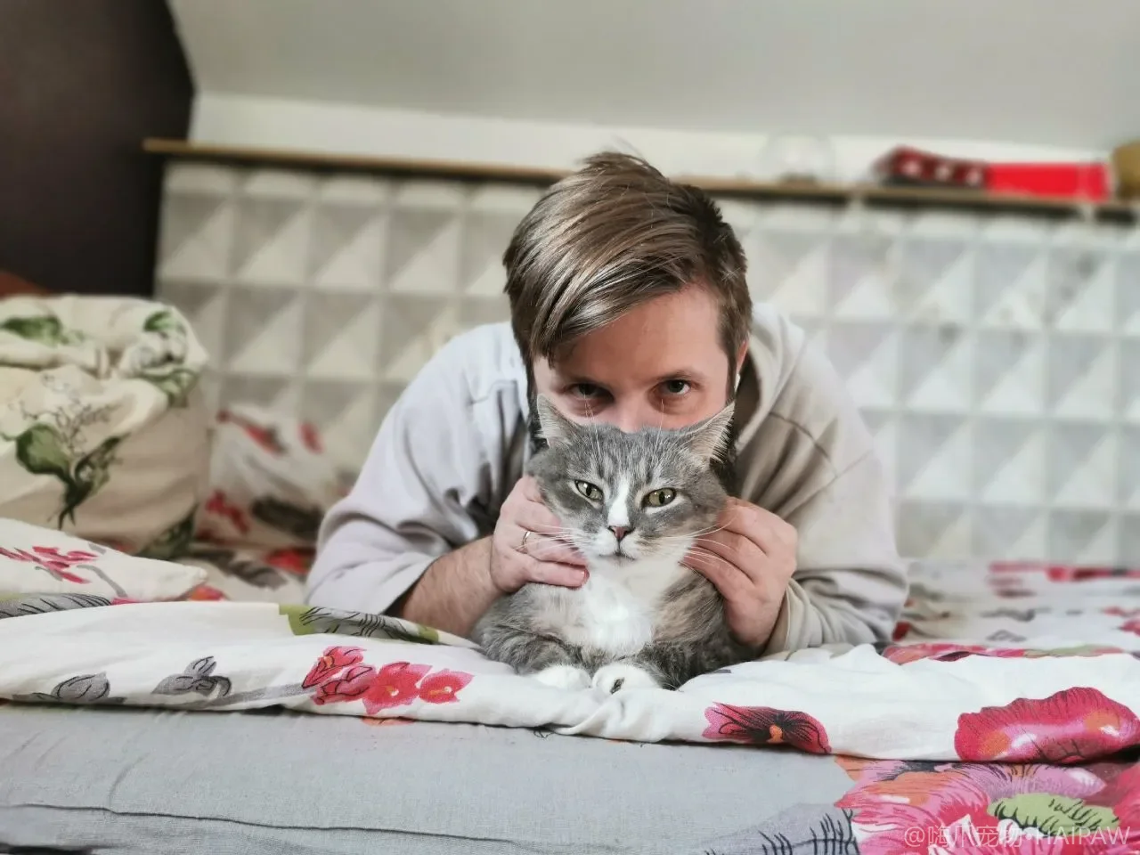 多猫家庭怎么安排各自的睡觉地盘?按等级性格分配猫窝避免抢窝打架 多猫家庭怎么安排各自的睡觉地盘?按等级性格分配猫窝避免抢窝打架