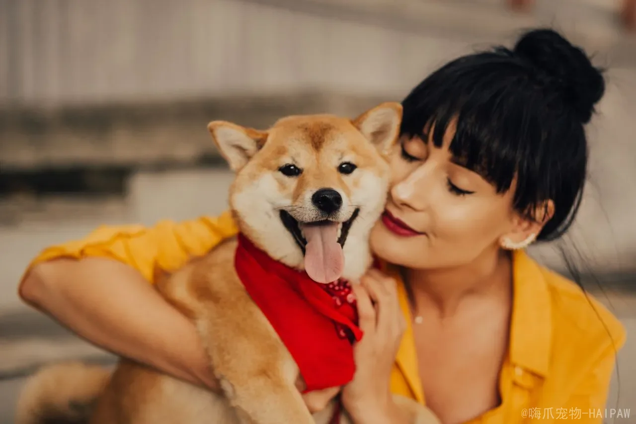 犬猫是肉食动物不是杂食动物：植物成分在它们饮食中应该占多少？生理构造给出的答案