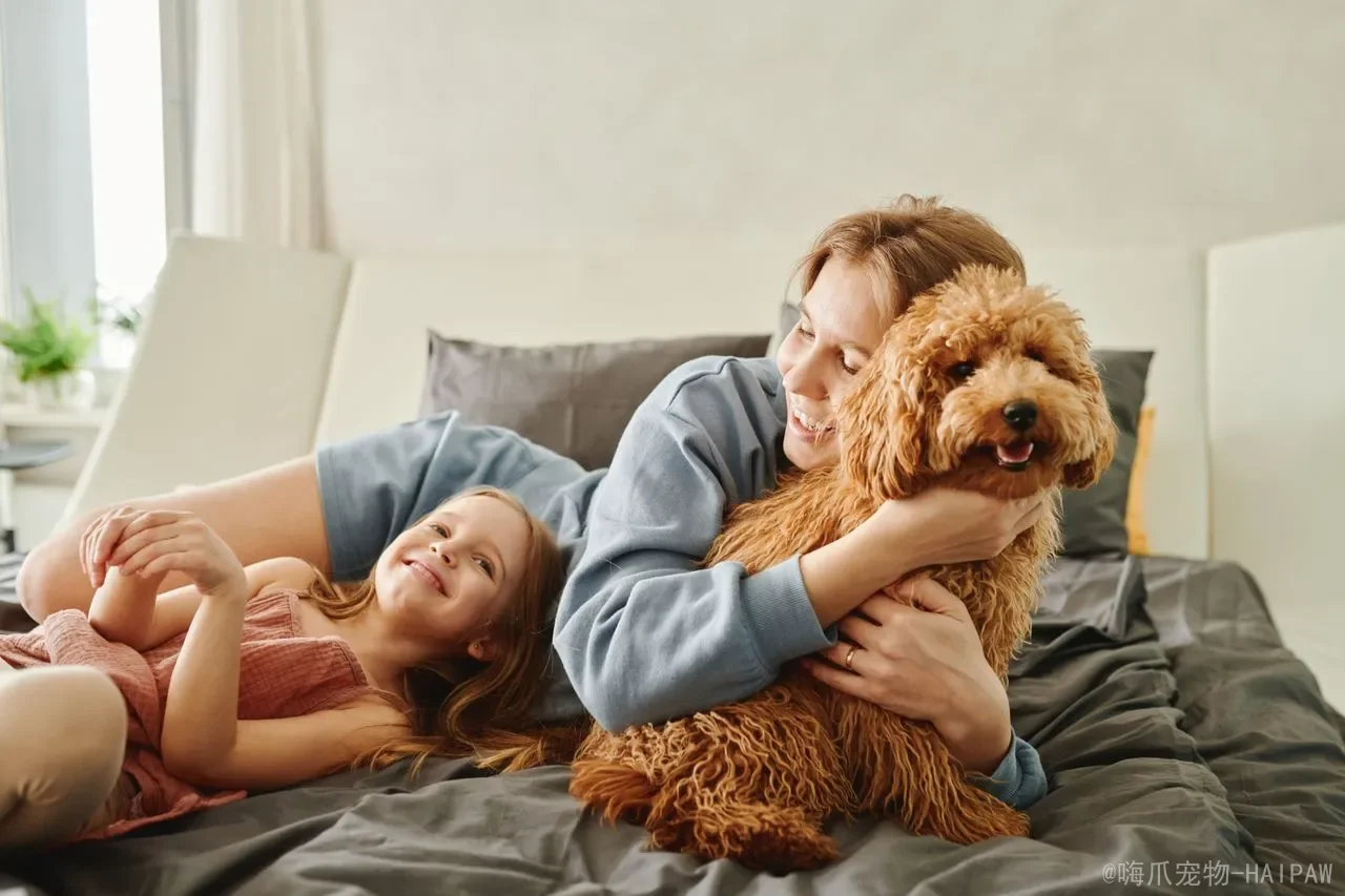 犬猫补钙的最佳来源：为什么新鲜生骨优于蛋壳粉和碳酸钙？完整对比与安全处理指南