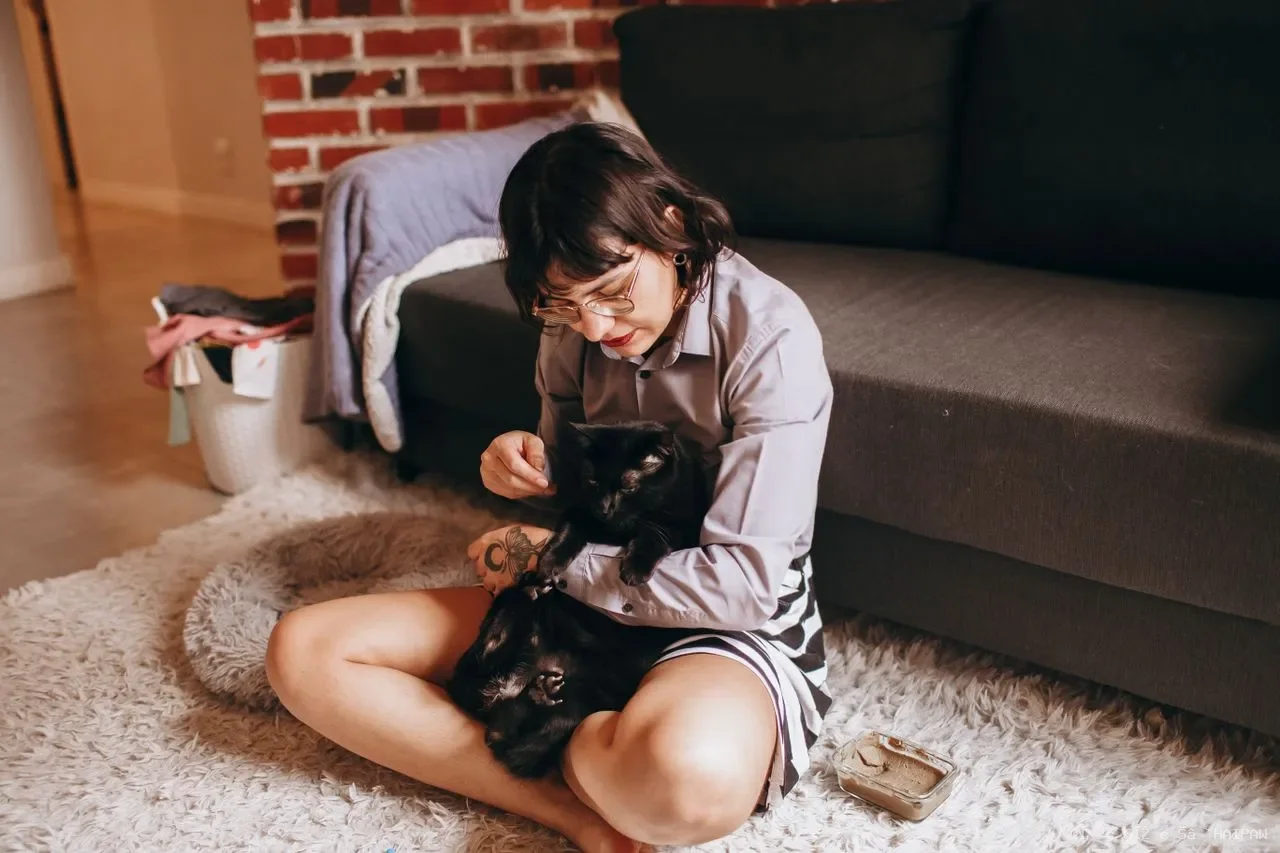 猫瘟全解析：从症状识别到治疗方案，一份完整的猫瘟防治指南