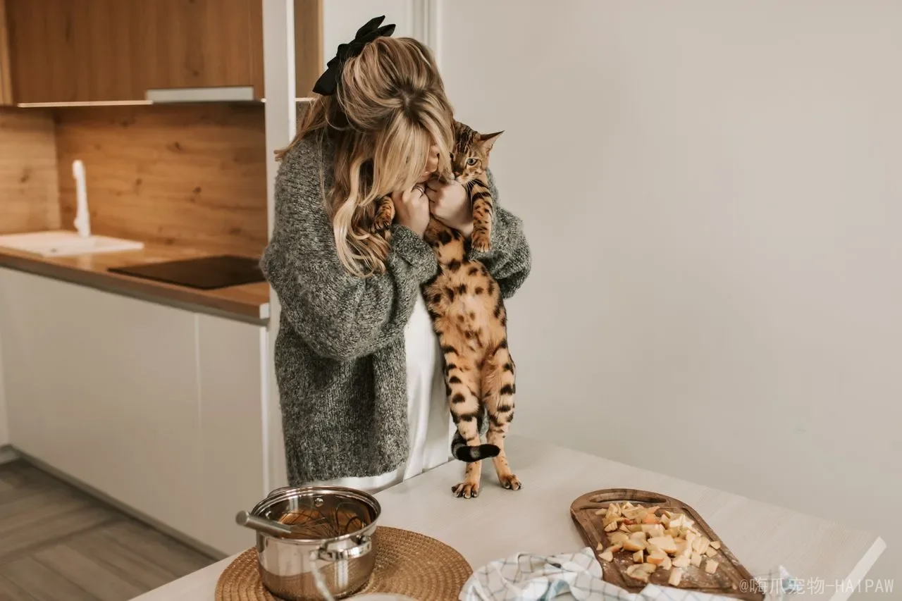 猫生完孩子多久可以洗澡？产后清洁、恢复时间与护理要点全解析