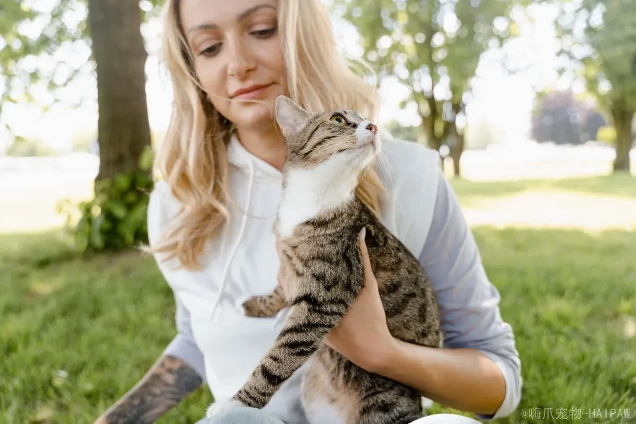 猫咪为什么突然咬人？从玩过头到身体疼痛，读懂猫咪咬人的6种真实原因