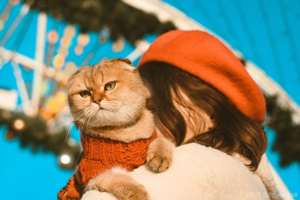 过期猫粮能吃吗？从变质风险到科学存储，一篇读懂猫粮保质期的真相