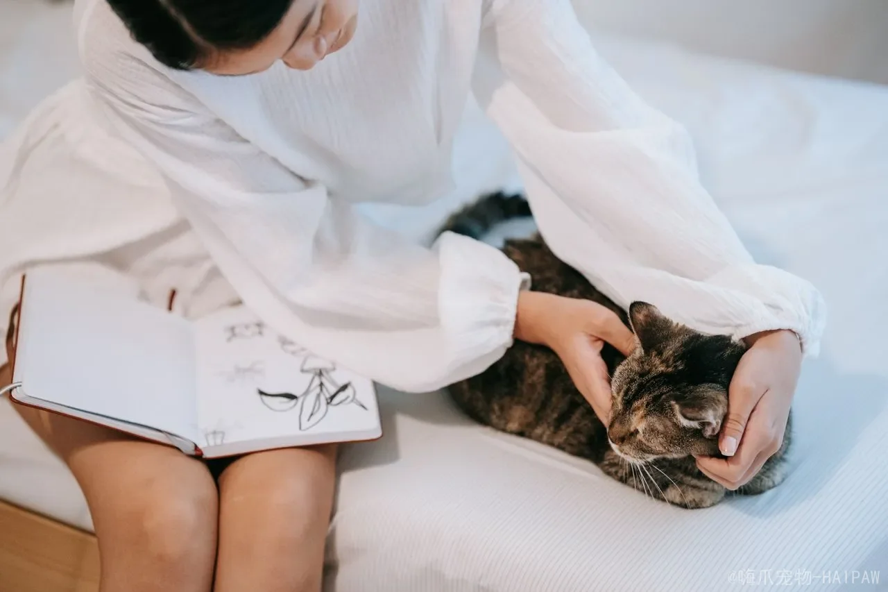 猫咪掉毛严重是怎么回事？从原因到护理，全面解读猫咪“脱发”的真相与应对