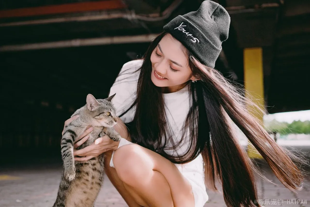 小猫多久可以离开母猫送人？从断奶时机到新家适应，一篇讲透幼猫离窝的所有关键细节