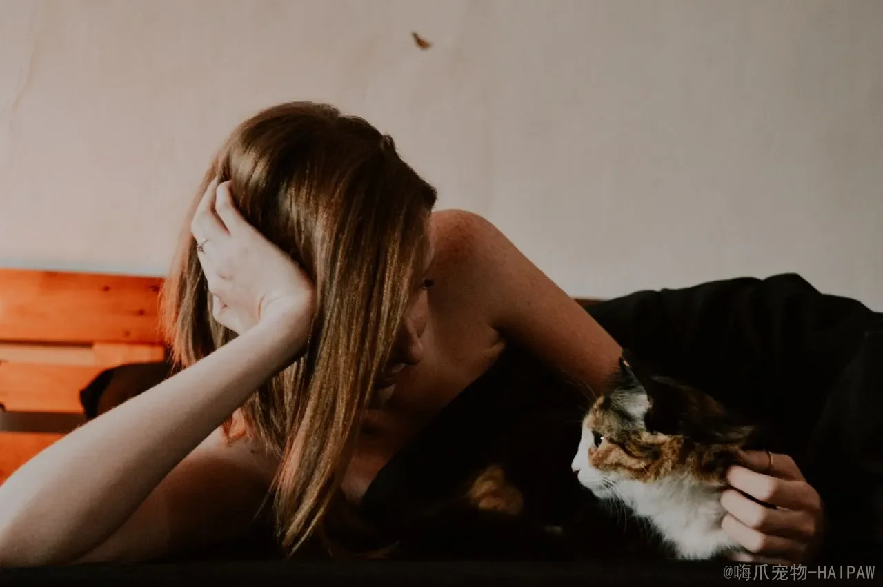 小猫驱虫多久一次？从幼猫到成猫，一份完整的驱虫时间表与用药指南