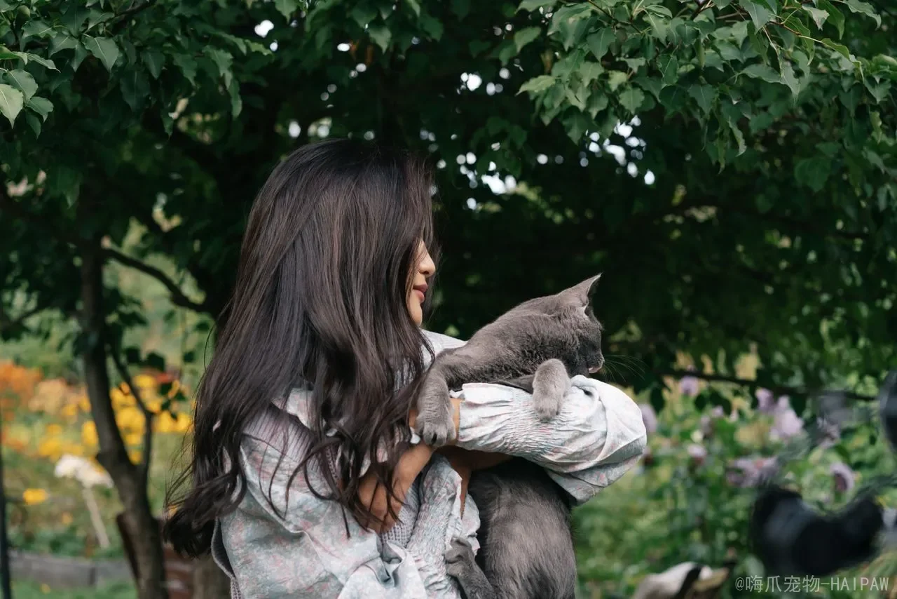 打完猫咪后如何让它消除恐惧？从独处安抚到重建信任，一套完整的关系修复方案