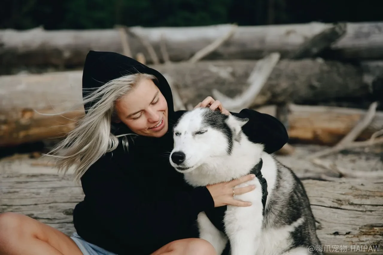 狗狗冬天要盖被子吗？长毛犬和短毛犬答案相反，盖错反而害了它
