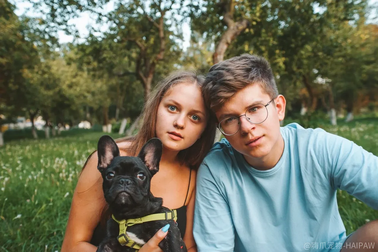幼犬粮和成犬粮到底有什么区别？别喂错了，这三个差异直接影响狗狗发育