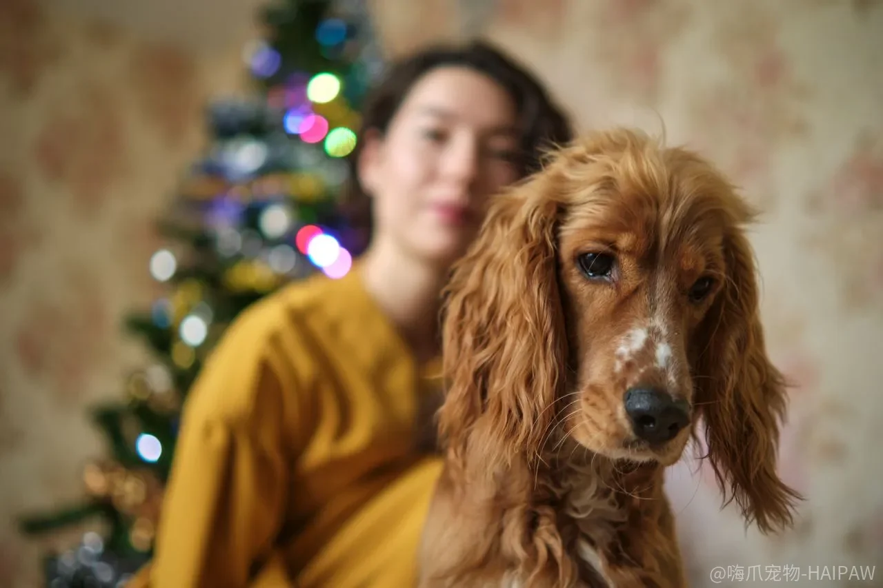 居家皮下补液5步法：肾病犬照护实操手册，从耗材准备到扎针位置一次讲清