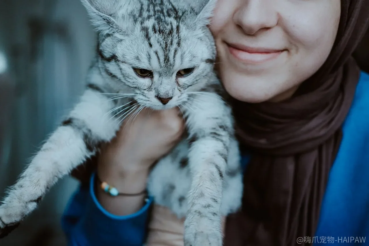 猫咬手不是“跟你玩”，是你一直在用错误的方式教它